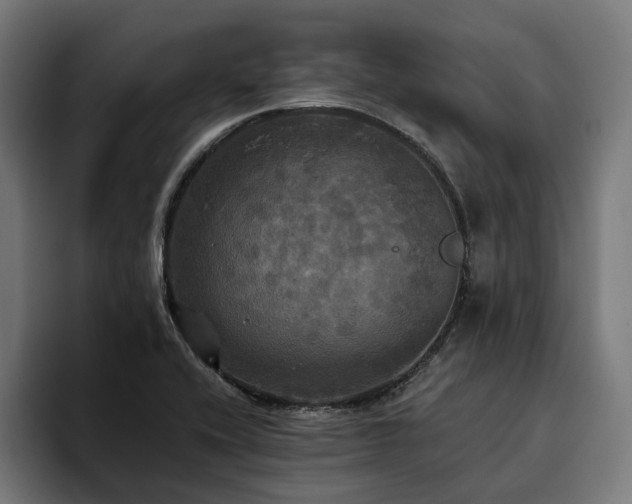 X0000094811416200711161458