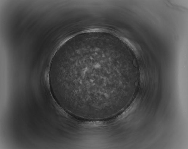 X0000094811417200711161458