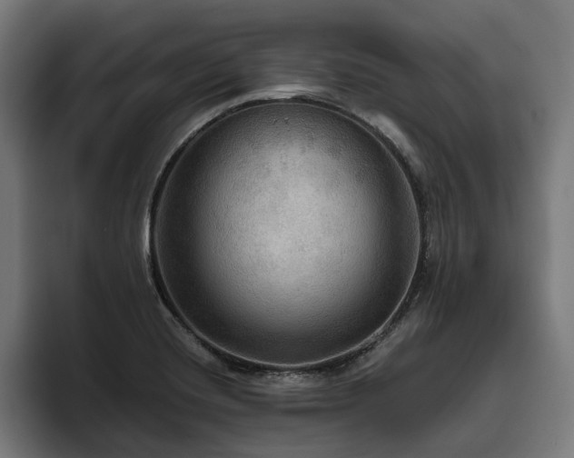X0000094811420200711161458