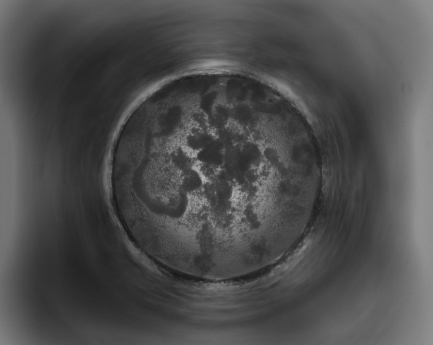X0000094811421200711161458