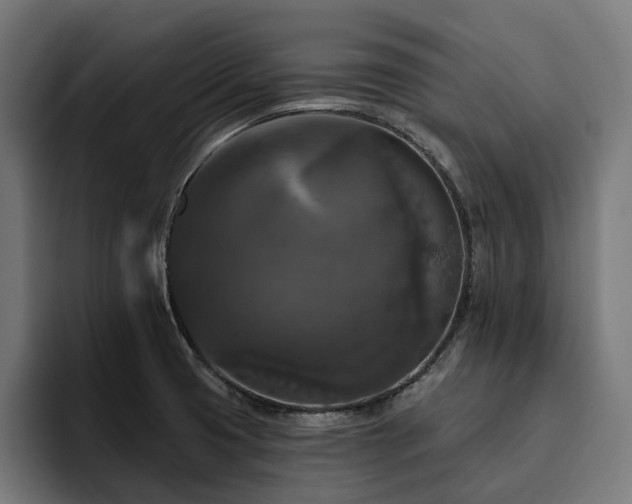 X0000094811425200711161458