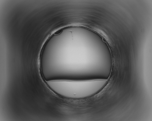 X0000094811428200711161458