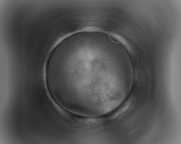 X0000094811430200711161458