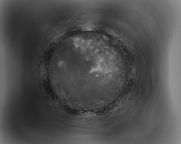 X0000094811446200711161458