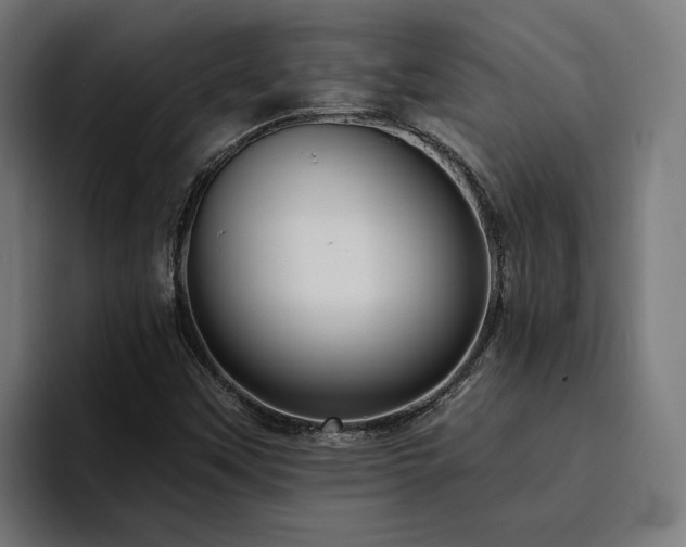 X0000094811451200711161458