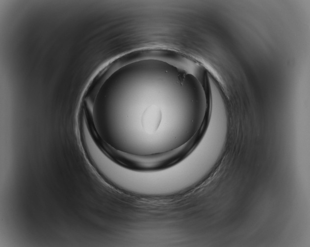 X0000094811468200711161457