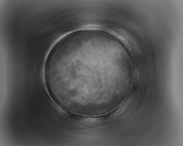 X0000094811470200711161457