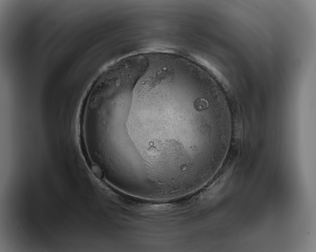X0000094811471200711161457