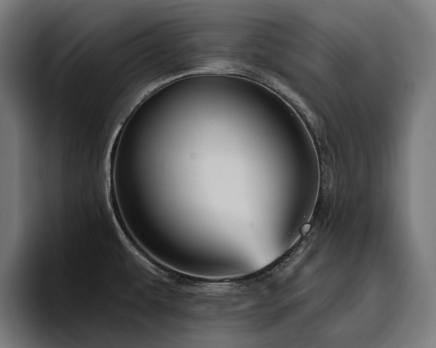 X0000094811479200711161457
