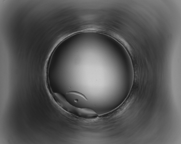 X0000094811483200711161457