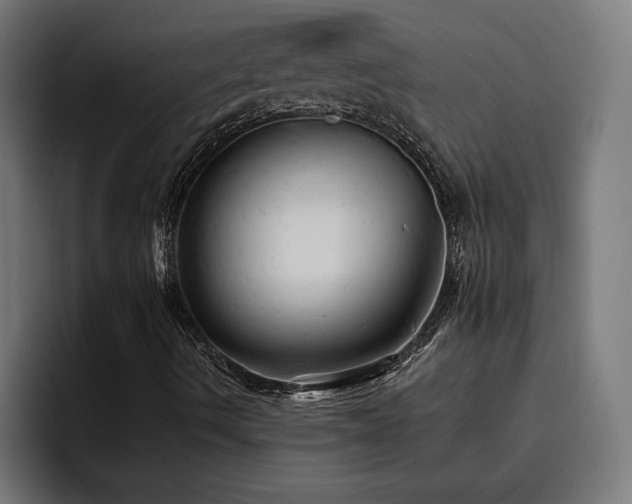 X0000094811490200711161457