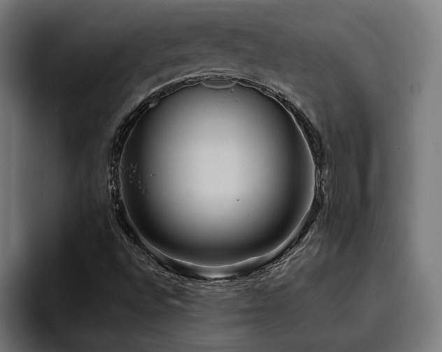 X0000094811496200711161457