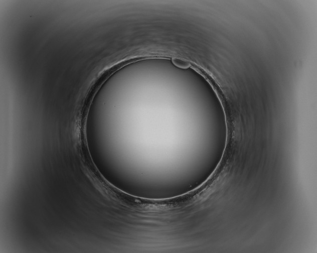 X0000094811499200711161457