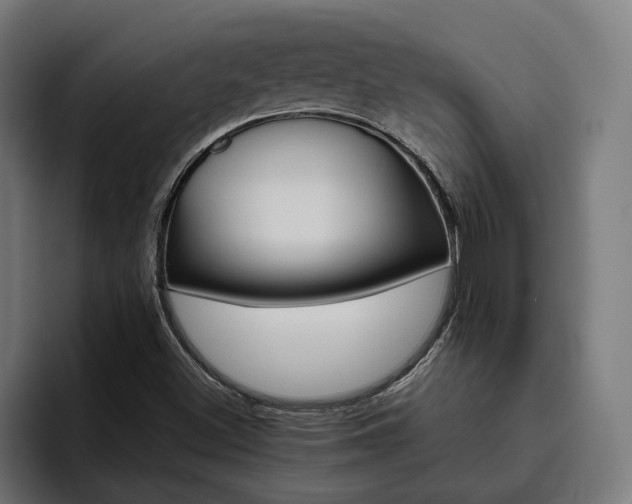 X0000094811500200711161457