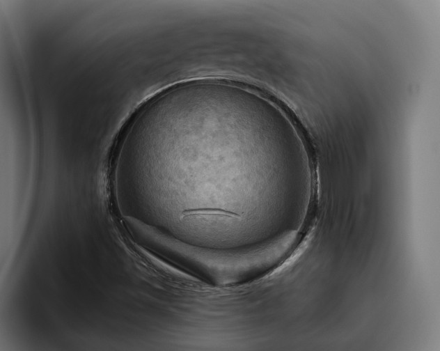 X0000094811501200711161457