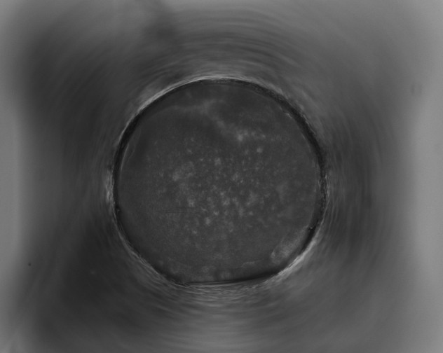 X0000094811505200711161457