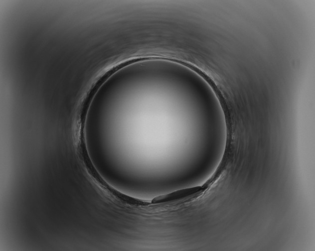 X0000094811507200711161457