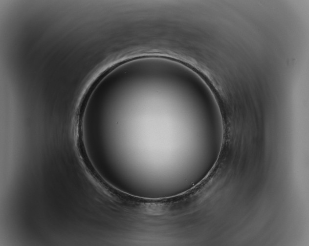 X0000094811511200711161457