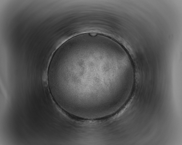 X0000094811521200711161457
