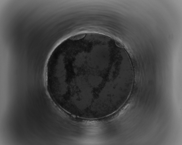 X0000094811522200711161457