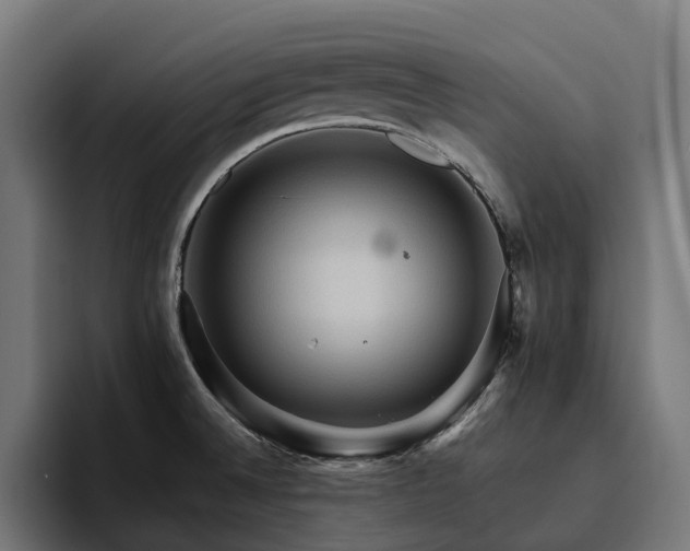 X0000094811524200711161457