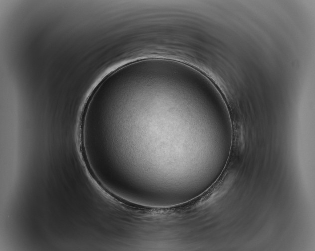 X0000094811531200711161457