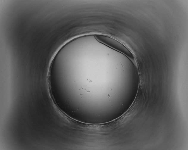 X0000094811532200711161457