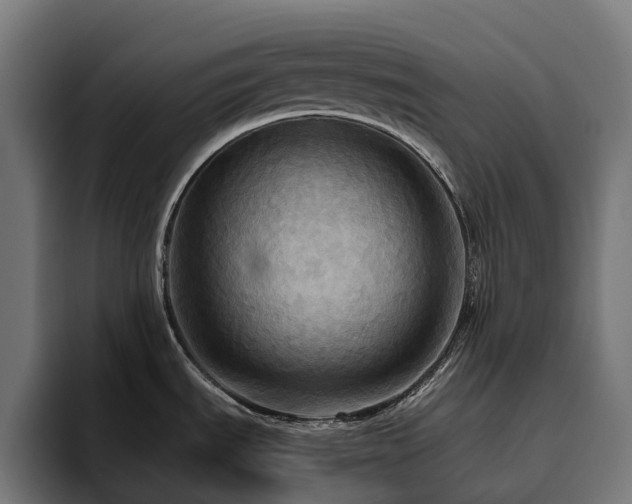 X0000094811535200711161457