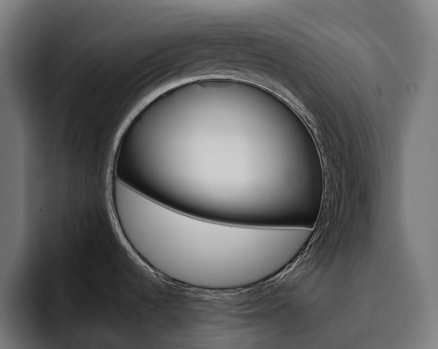 X0000094811536200711161457