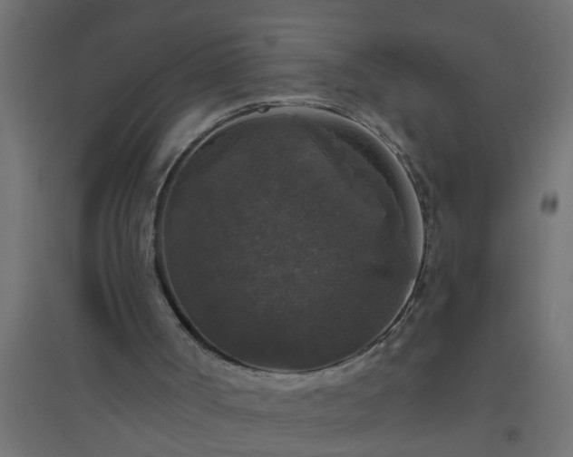 X0000094810002200711241456