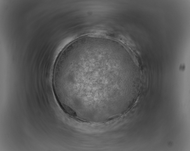 X0000094810003200711241456