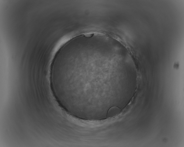 X0000094810006200711241456