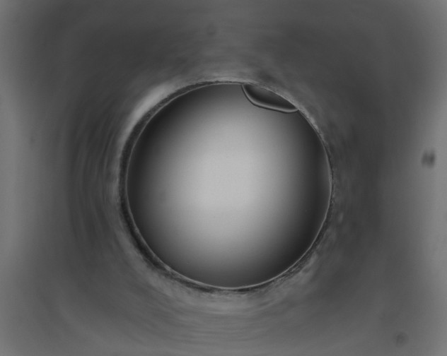 X0000094810008200711241456