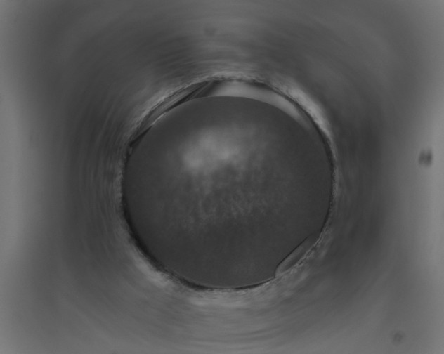 X0000094810009200711241456