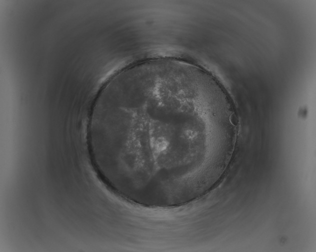 X0000094810010200711241456