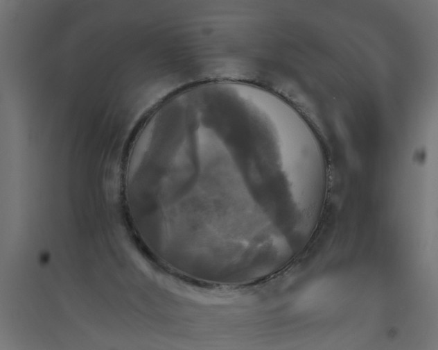 X0000094810012200711241456