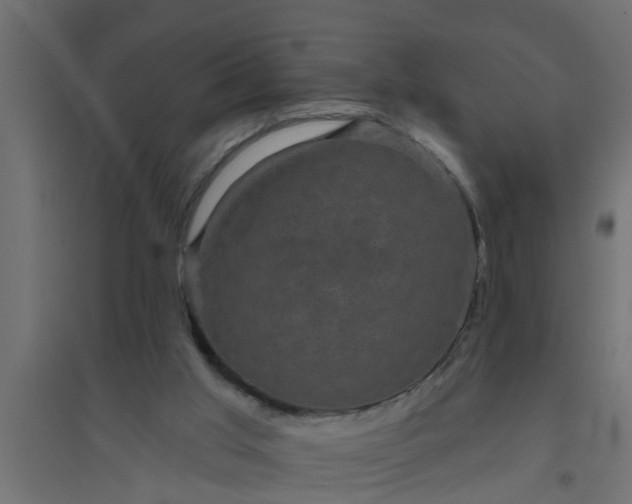 X0000094810013200711241456