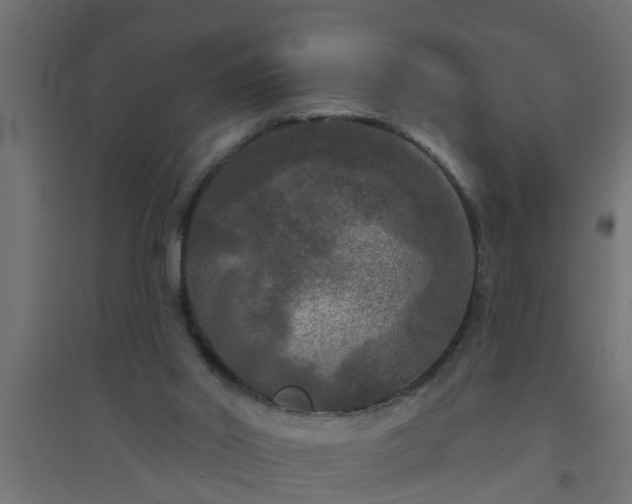 X0000094810014200711241456