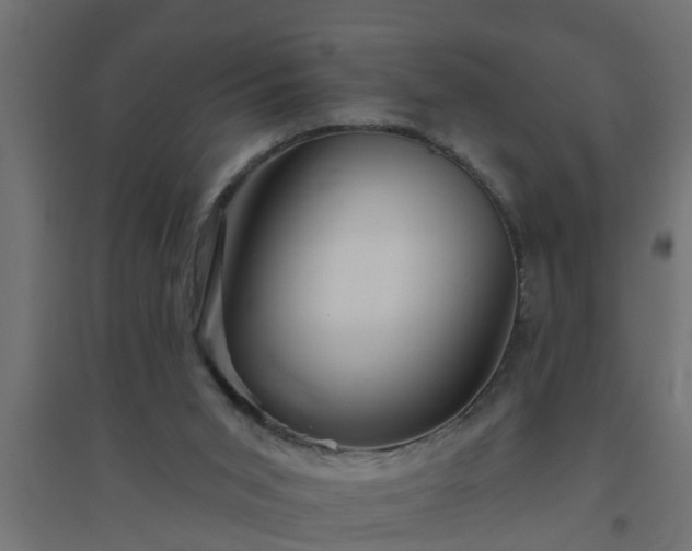 X0000094810015200711241456