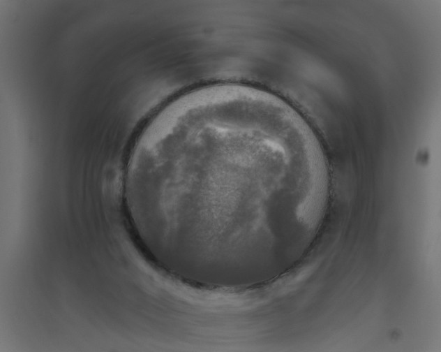 X0000094810016200711241456