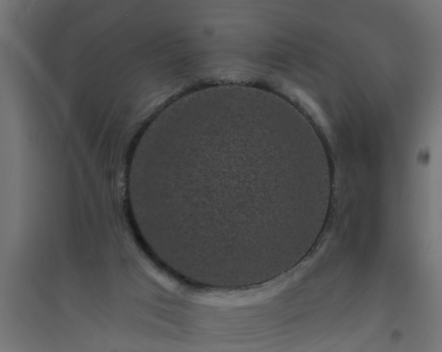 X0000094810017200711241456