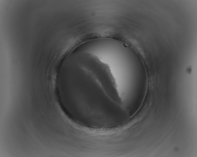 X0000094810018200711241456