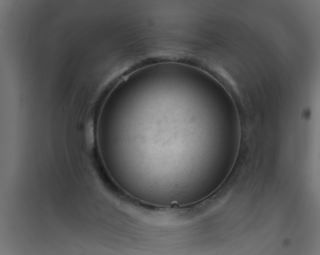 X0000094810020200711241456