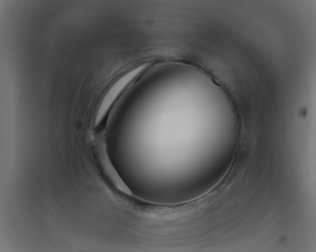 X0000094810021200711241456