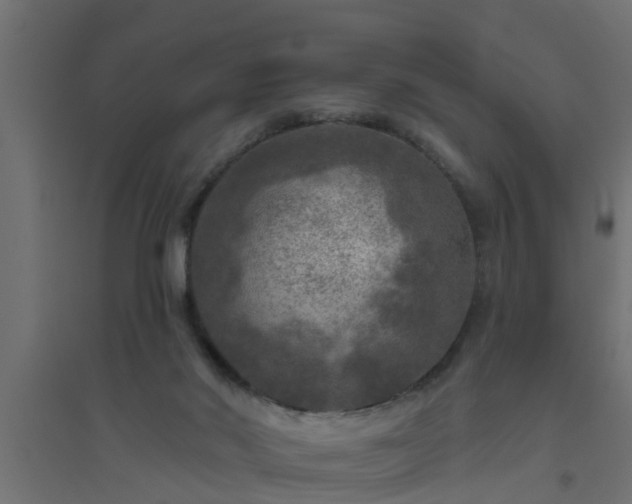 X0000094810022200711241456