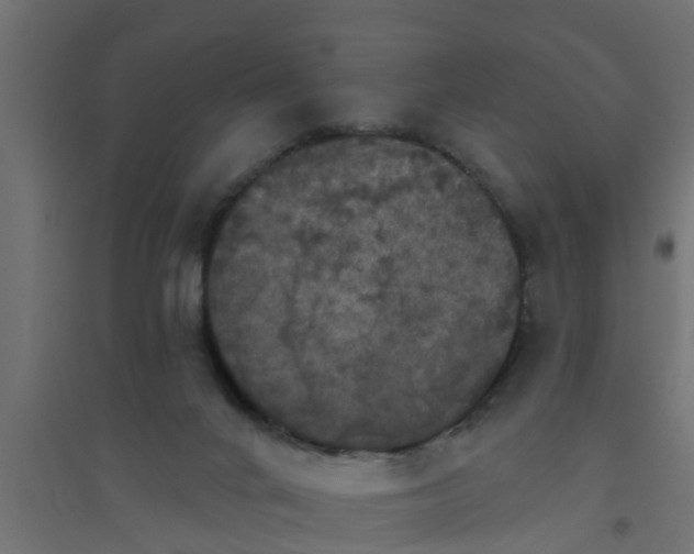 X0000094810024200711241456