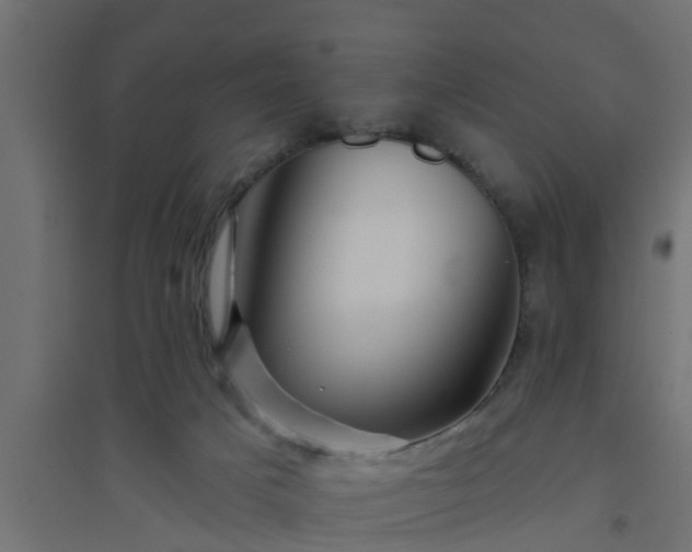 X0000094810025200711241456