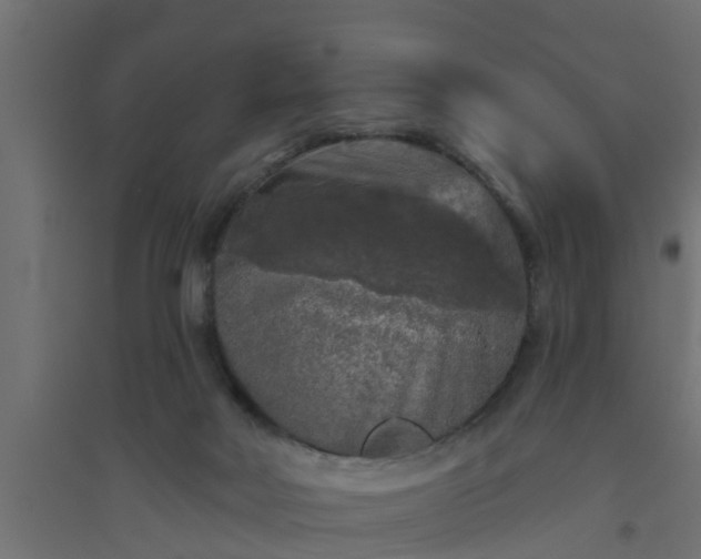 X0000094810026200711241456