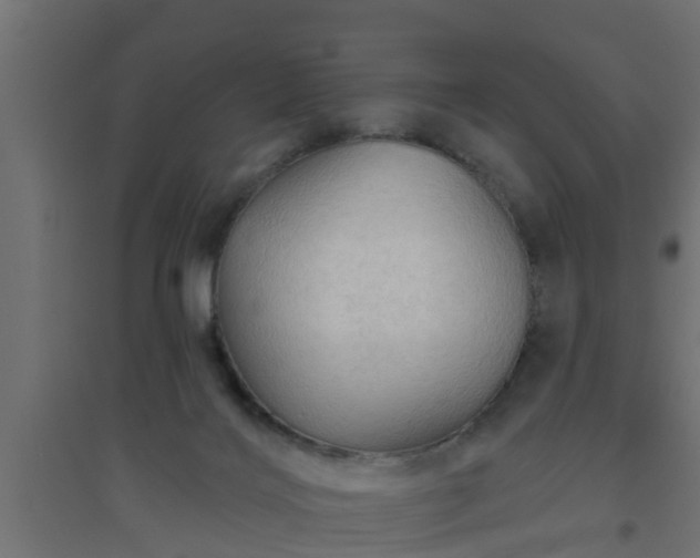 X0000094810028200711241456