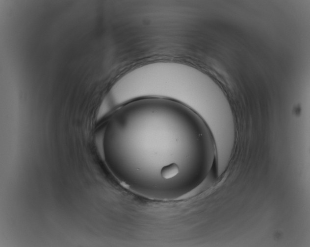 X0000094810029200711241456